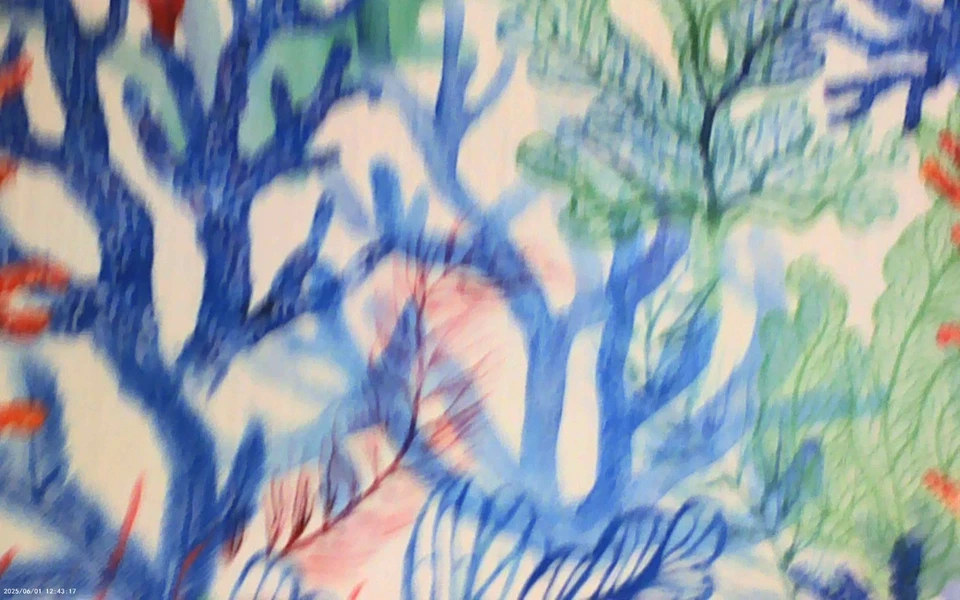 Tela Terrasol Designer Interior/Exterior - Living Coral Sunset, Azul y Coral Foto 1 de 1