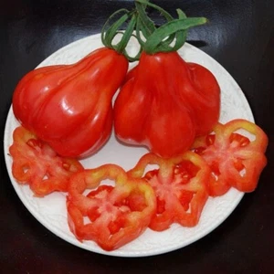 SEMI POMODORO TLACOLULA + OMAGGIO || Raccolti a mano, Semi Antichi, Rari - Foto 1 di 3