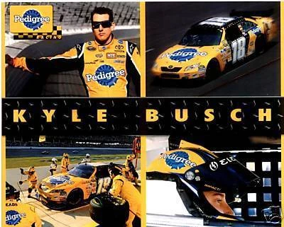 KYLE BUSCH 2009 PEDIGREE 8 X 10 POSTCARD Cover