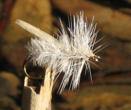 Gilchrist Fliegen. 3 x Trockenfliegen WHITE SEDGE. Mit & ohne Widerhaken - Bild 1 von 1