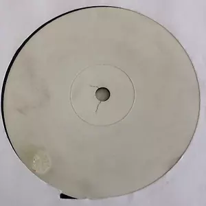 White Lbl Remixes: NERD - She Wants To Move/ Beastie Boys Ch-Check It Out Vinyl - Picture 1 of 1