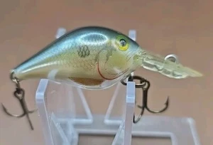 Rapala Rattlin Fat Rap RFR-5 SD Shad Fishing Lure Crankbait. 1 5/8" Body - Picture 1 of 7