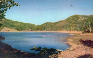 Cartolina cromata vintage buffer lago Fishlake foresta nazionale Utah meridionale - Foto 1 di 2
