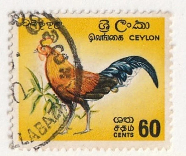 Ceylon         377          used        Birds         - Image 1 of 1