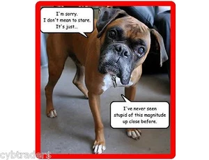 Funny Dog Boxer Stupid Refrigerator / Tool  Box / Locker  Magnet Gift Card Item - Picture 1 of 1