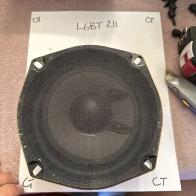 Conjunto de Altavoz Original GM 16235651, Radio Cuarto Negro Foto 1 de 2