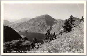 c1940s WASHINGTON Photo RPPC Postcard "Wildflowers on Palmer Mt." ELLIS 212 - Picture 1 of 2