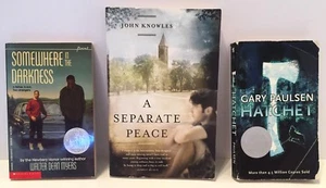 Hatchet, A Separate Peace, Somewhere in the Darkness - 3 Book Lot/Bundle - Picture 1 of 2