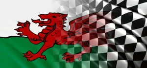 1500 x 660mm REAR WiNDOW PRINTED  WELSH  CHEQUERED FLAG  TRANSIT VIVARO TRAFIC  - Picture 1 of 1