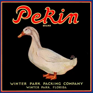 f09 Winter Park Florida Pekin Brand Duck Orange Citrus Fruit Label Fridge Magnet - Picture 1 of 1
