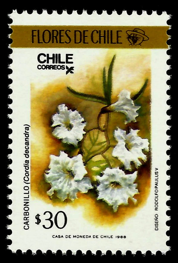 FLORES SILVESTRES CHILENAS, CARBONILLO, CORDIA DECANDRA, AÑO 1988, MNH Foto 1 de 1