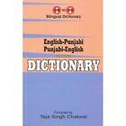 English-Punjabi & Punjabi-English One-to-One Dictionary - Paperback NEW Chatwal,