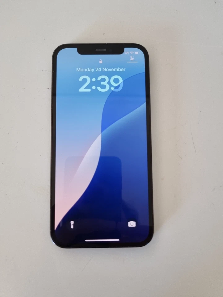 Apple iPhone 12 Pro - 256GB - Pacific Blue (Network Unlocked) Excellent Conditon - Image 1 of 4