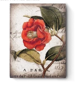 sid dickens RARE T404 - Red Camellia Neu - Bild 1 von 5