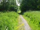 Photo 6x4 Path through Sandybrook Woodland Trust Fulwood/SD5431 A haven  c2013