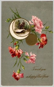 1909 Embossed Carnation Winter Scene Postcard Adel Dallas Co IA to Lima OH - Picture 1 of 2
