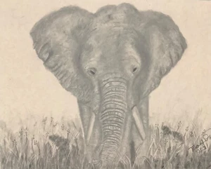 Arte Original Firmado Mary Dow Dibujos Dibujos Bebé Elefante Animal  - Imagen 1 de 1
