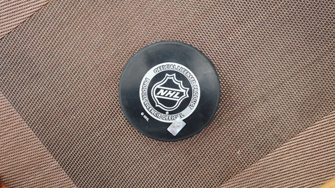 1987 STANLEY CUP CHAMPIONS Edmonton Oilers Puck Cover