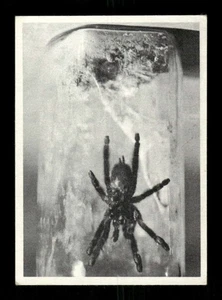 1965 Philadelphia James Bond 8 Dr. NO's pet VGEX+ centered  BXCP56 - Picture 1 of 2