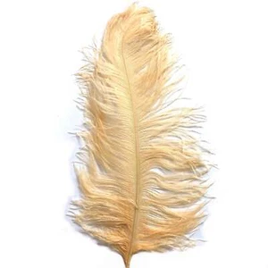 Ostrich Drab Feather Plumes 27-32cm (11-13") - Soft Apricot - Picture 1 of 3