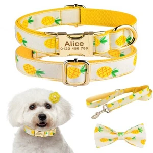 Pineapple Personalized Cat Dog Collar Engraved Name Id Tag Quick Release S M L - Picture 1 of 13