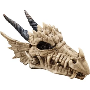 Schmuckdose-Schatulle Drachenschädel - Picture 1 of 8