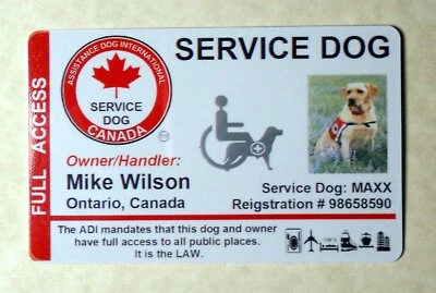 TARJETA DE IDENTIFICACIÓN DE PERRO DE SERVICIO CANADIENSE - TARJETA DE IDENTIFICACIÓN DE PERRO DE ASISTENCIA INSIGNIA para Canadá Foto 1 de 3