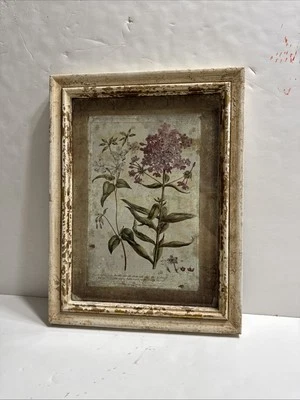 "Marco/impresión vintage creativa cooperativa Williamsburg Garden Story Collection 10x13""" Foto 1 de 4