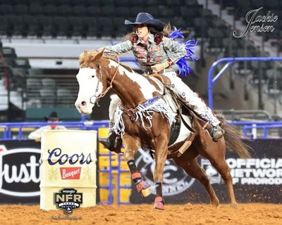MUITO RARO Cabelo de Cavalo Autêntico | 12-16” | 20-30 Fios Naturais para Arte e Artesanato - Imagem 1 de 4