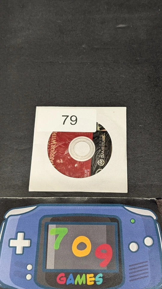 Prince of Persia: Warrior Within (Nintendo GameCube, 2004) solo disco Foto 1 de 1