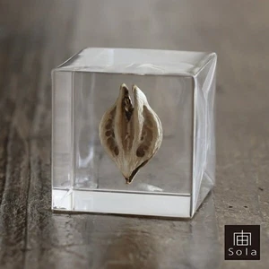 Sola Cube Tiger's Claw Acrylic Rabbit Nedoko  Japan Brand - Picture 1 of 9