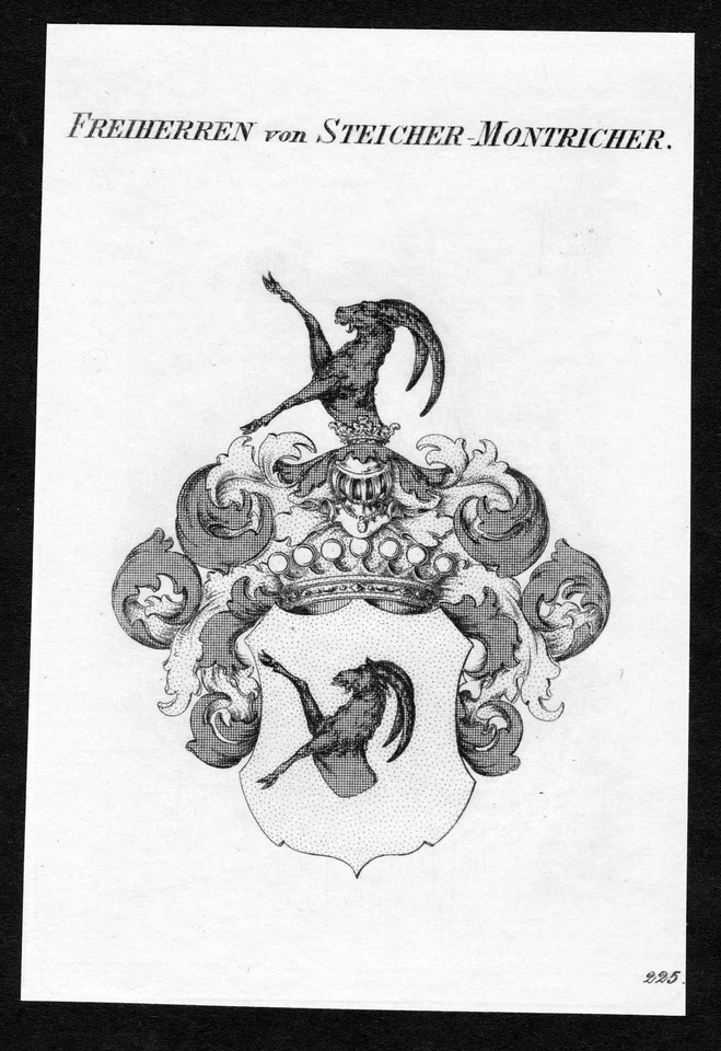 ca. 1820 Steicher Montricher Wappen Adel coat of arms Kupferstich antique print - Bild 1 von 1