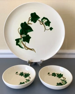 Set di 3~Poppytrail California Ivy zuppiere/cereali/insalatiere 6" piatto da portata 13" - Foto 1 di 3