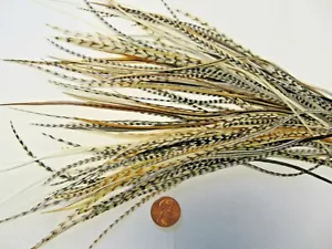 100 MIX WHITING GRIZZLY ROOSTER SADDLE 6 TO 9" FEATHERS FOR HAIR EXTENSIONS - Picture 1 of 2