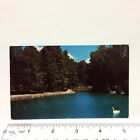 Carte postale Canada Ontario Barrie Springwater Park Swan annuler 1962 aux États-Unis Ohio