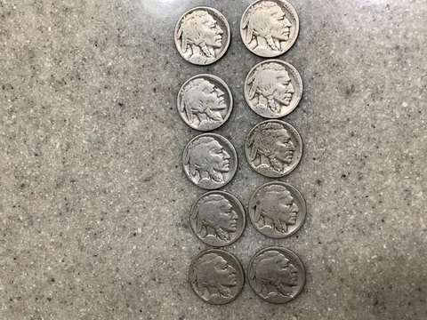 Lot of (10) 1920-S Buffalo Nickels *Grand Pa’s Collection* Bargain Partial Dates Cover