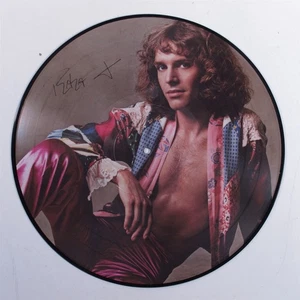 PETER FRAMPTON I'm In You A&M LP VG++ picture disc x - Picture 1 of 2