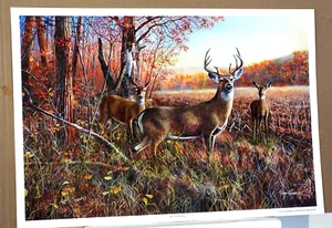 THE GATHERNG , DEER IN FOREST, BY JIM HANSEL , SIGNED AND NUMBERED - Picture 1 of 2