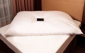 CAMA GLOBO CAMA DE PLUMAS CAMA SUPERIOR MANTA DE INVIERNO 100% NATURAL PLUMAS - Imagen 1 de 6