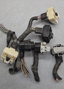🔥96-04 Jeep Dodge JTEC PCM Motor Computadora PCM Enchufes Conectores Cableado - Imagen 1 de 7
