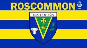 Ireland County ROSCOMMON 5 x 3 ft striped Flag County Name in English & Irish - Picture 1 of 1