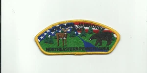 SCOUT BSA 2005 JAMBOREE JSP NORTHEASTERN PENNSYLVANIA PATCH JAMBO INSIGNIA BEAR - Picture 1 of 1