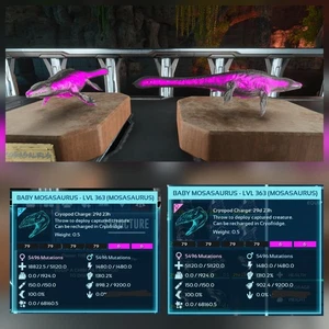 MOSA PLAYBOY TOP STATUS BABY PAIR ARK ASCENDED PVE OFFICIAL PC/XBOX/PS5 - Picture 1 of 4