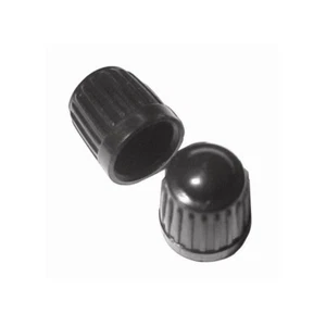 Tapas antipolvo de coche consumibles perlas - negras - paquete de 100 - PTA135 - Imagen 1 de 9