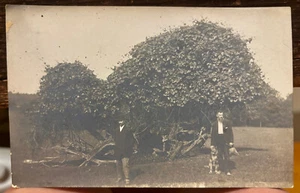 RPPC Photo 2 Men Bird? Hunting Dog Shepherd/Collie? 1904-20s Found in Niles, MI - Picture 1 of 10