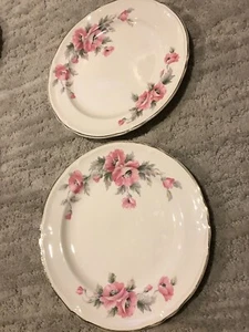 Lot (2) Edwin M. Knowles China Semi Vitreous 44-10 Pattern 9.25” Floral Plate - Picture 1 of 10