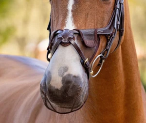 LeMieux Comfort Shield Grackle Nose Filter Mesh Fly Head Shaking Net Black/Brown - Picture 1 of 7