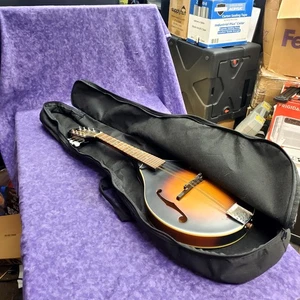 š„EXCELLENT NEAR MINTš„THE LOAR GRASSROOTS MANDOLIN LM-170-VSM VINTAGE SUNBURST - Picture 1 of 18