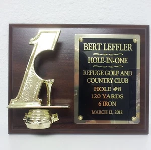 Hole in One Golf Plaque Custom Engraved SUPER FAST SHIP - Picture 1 of 2