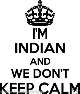 Indian Wall Sticker... 20 inches Tall We Don't Keep Calm Vinyl Wall Art - Picture 1 of 2